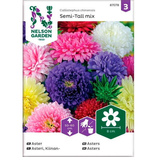 Aster Dubbel Blandade färger 1-p Nelson Garden