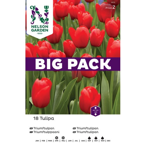 Höstlök Triumftulpan Röd BigPack 1st Nelson Garden