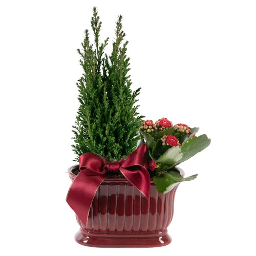 Arrangemang Jul