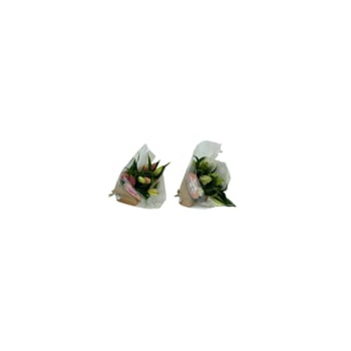 Orientaliska Liljor lyx 3-p 60 cm Exklusiva sorter med stora knoppar Varierande färger