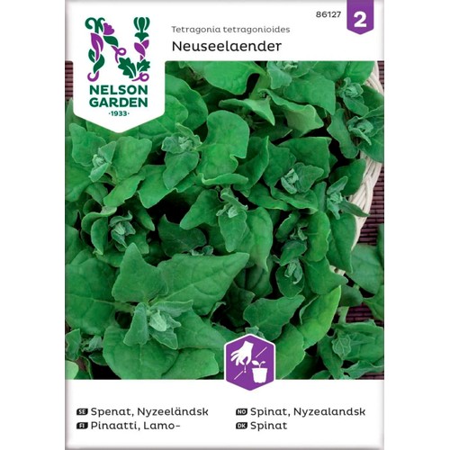 Spenat Nyzeeländsk 1-p Nelson Garden