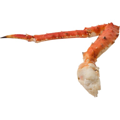 Kungskrabba