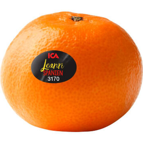 Clementin Leanri 4-p Klass 1 ICA