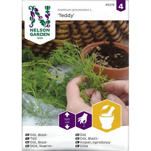Dill, Blad-, Teddy Nelson Garden
