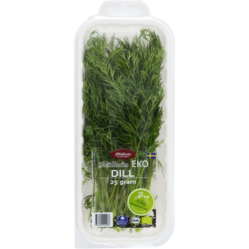 Dill EKO 25g Hällnäs Handelsträdgård Klass 1 ICA