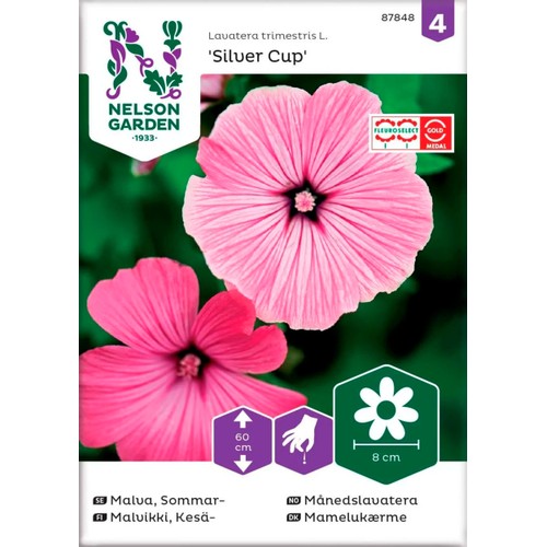 Malva Sommar Silver Cup Rosa 1-p Nelson Garden
