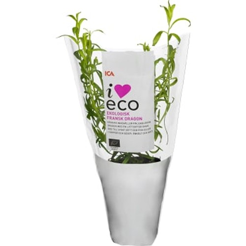 Fransk dragon Ekologisk 1-p KRAV Klass 1 ICA I love eco