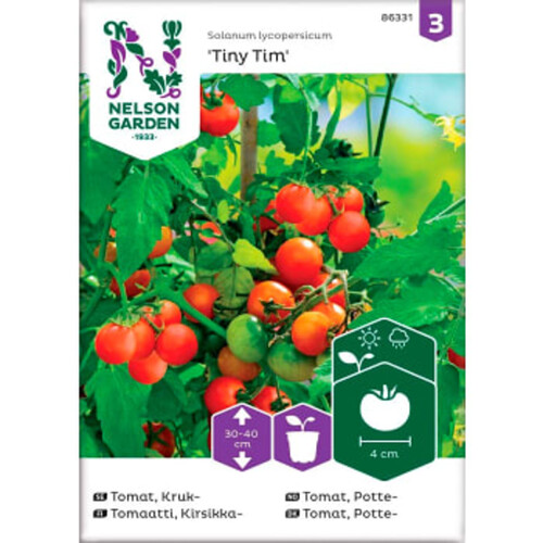 Tomat Körsbär Tiny Tim 1-p Nelson Garden