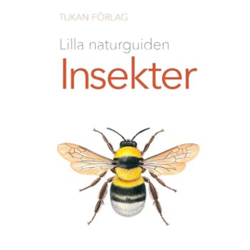 Lilla naturguiden: insekter