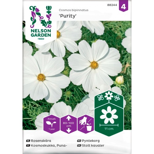 Rosenskära  Purity Vit 1-p Nelson Garden