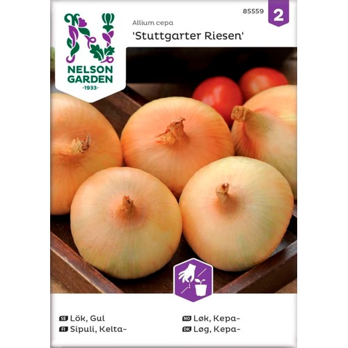 Lök Gul Stuttgarter Riesen 1-p Nelson Garden