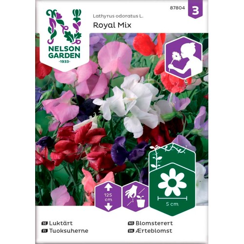Luktärt Royal Blandade färger 1-p Nelson Garden