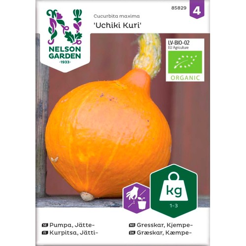 Pumpa Jätte Organic 1-p Nelson Garden