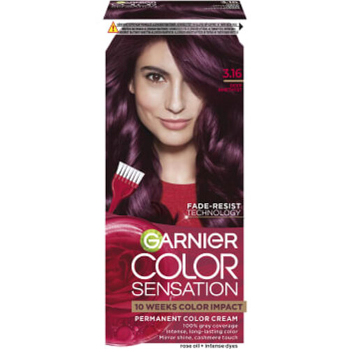 Hårfärg Deep Amethyst 3.16 1-p Color Sensation Garnier
