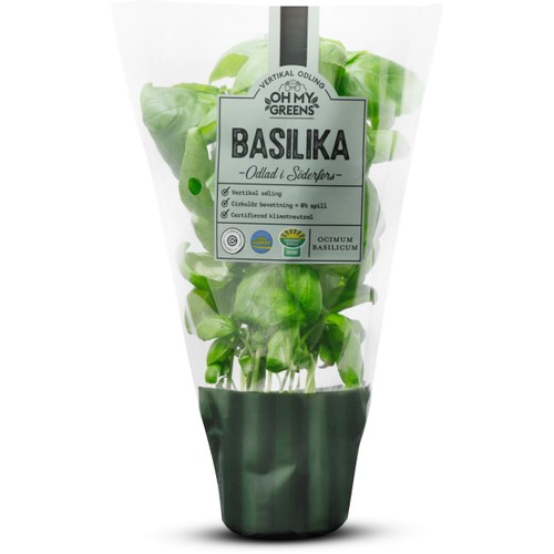 Basilika 30g Oh My Greens