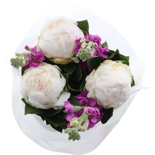 Bukett Pioner med andra blommor large 50cm