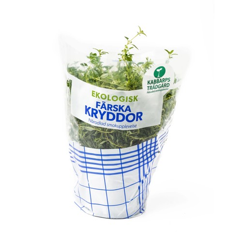 Timjan Ekologisk 1-p Kabbarps Trädgård