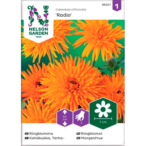 Ringblomma Radio 1-p Nelson Garden