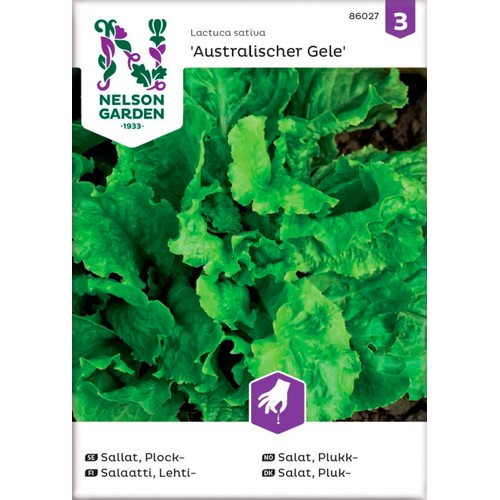 Sallat Plock Australischer Gele 1-p Nelson Garden