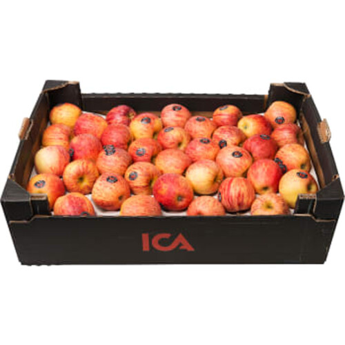 Äpple Royal Gala låda Klass 1 ca 18kg