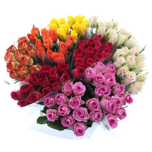 ICA Rosor 12 pack Fair trade 50 cm med bidrag till ICA Stiftelsen