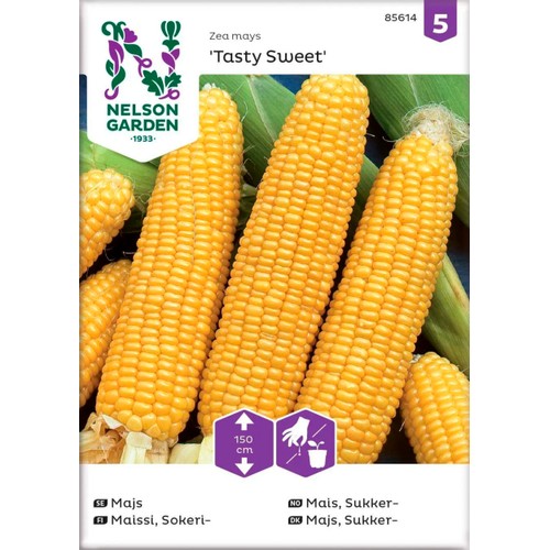 Majs Tasty Sweet F1 1-p Nelson Garden