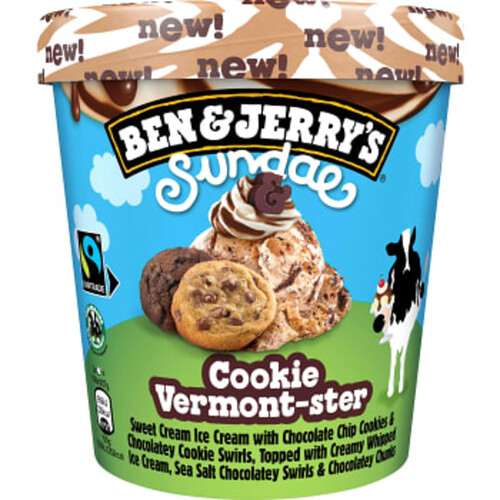 Cookie Vermont 427ml Ben & Jerrys