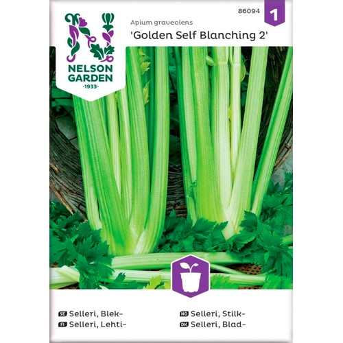 Selleri Blek Golden Self Blanchi 1-p Nelson Garden