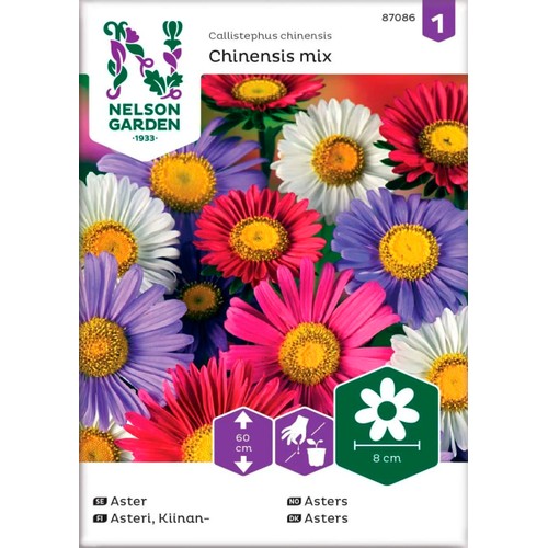 Aster Enkel blandade färger 1-p Nelson Garden