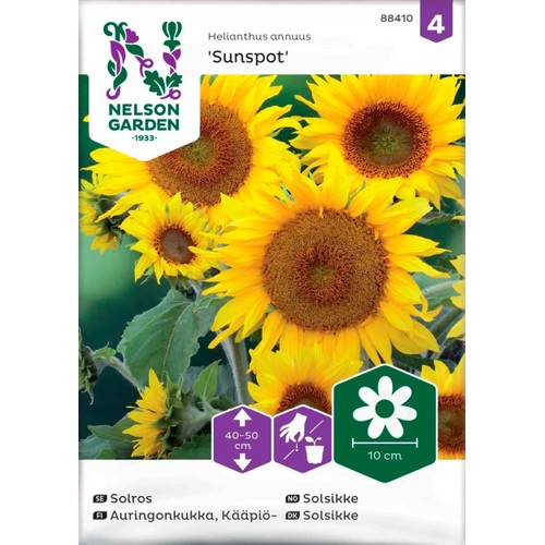 Solros Sunspot 1-p Nelson Garden