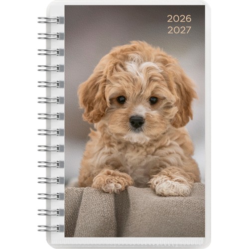 Kalender 26/27 Compact Pets