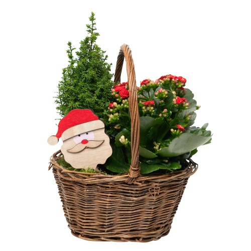 Grepkorg Tomte