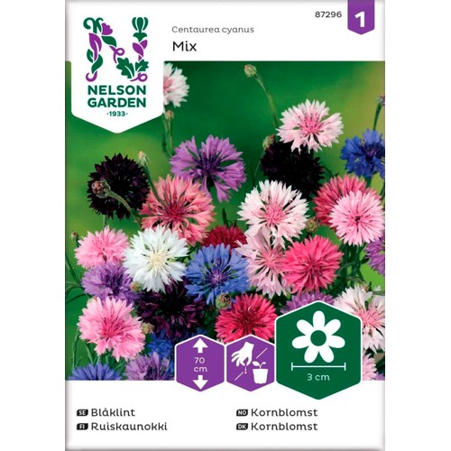 Blåklint Blandade färger Hög 1-p Nelson Garden
