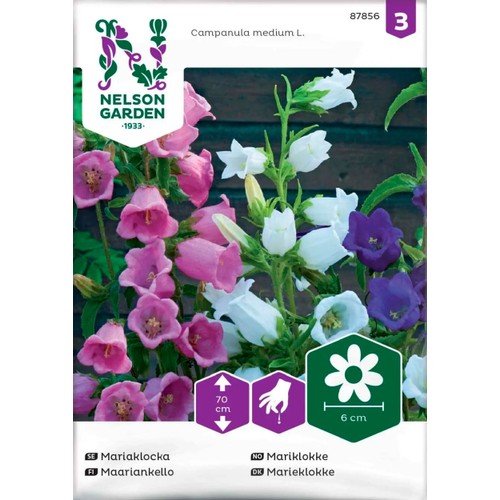 Mariaklocka Enkel blandade färger 1-p Nelson Garden