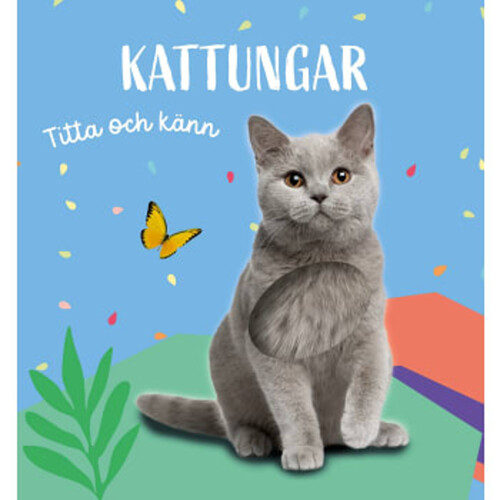 Titta och känn. Kattungar