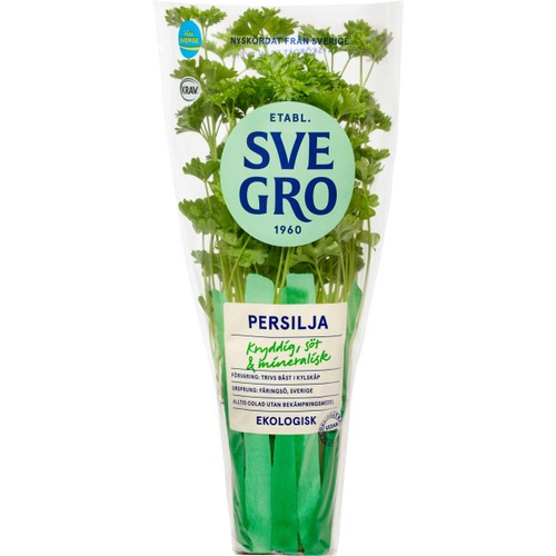Persilja i kruka Ekologisk 1-p KRAV Svegro