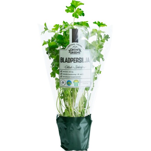 Bladpersilja 30g Oh My Greens