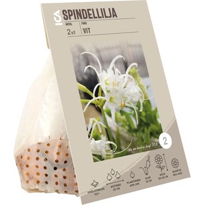 Spindel lilja