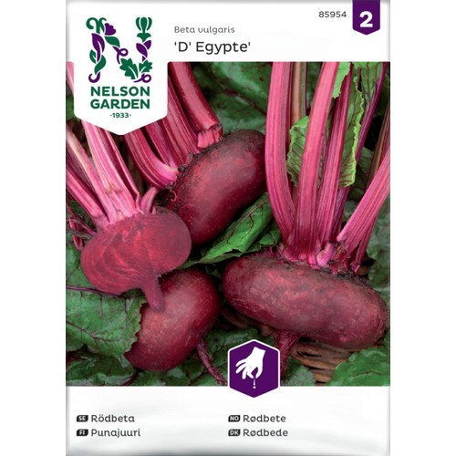 Rödbeta, D' Egypte Nelson Garden