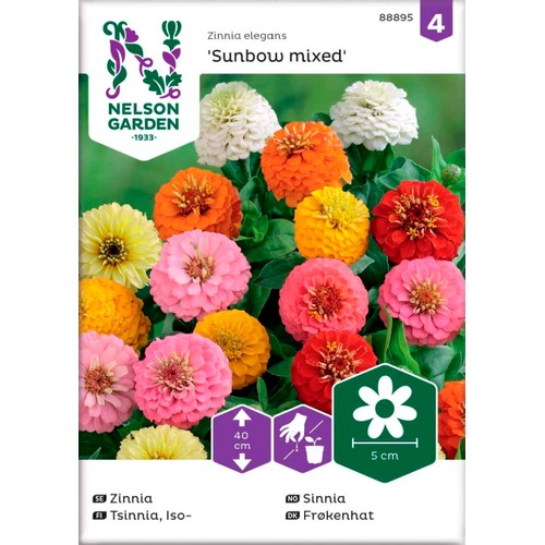 Zinnia Sunbow Blandade färger 1-p Nelson Garden