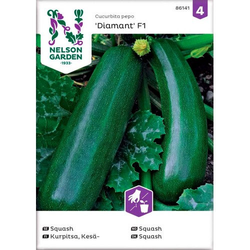 Squash Diamant F1 1-p Nelson Garden