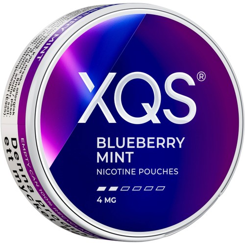 XQS Blueberry Mint Light 4mg 10g