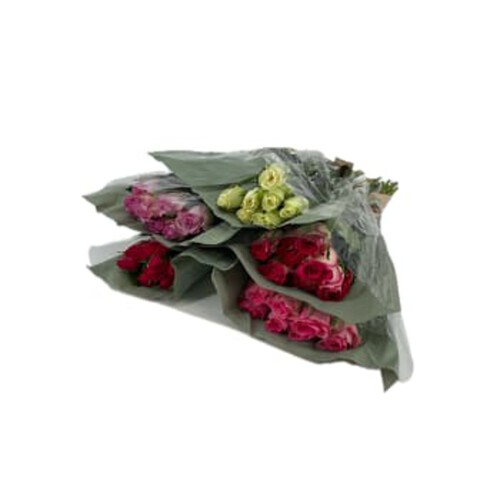 Storblommiga rosor 7-p 50cm varierande färger ICA