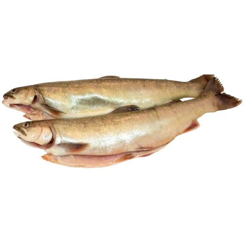 Fjällrödingfilé ca 200g