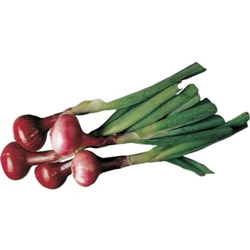 Knippelök röd 1 pack Klass 1 ICA