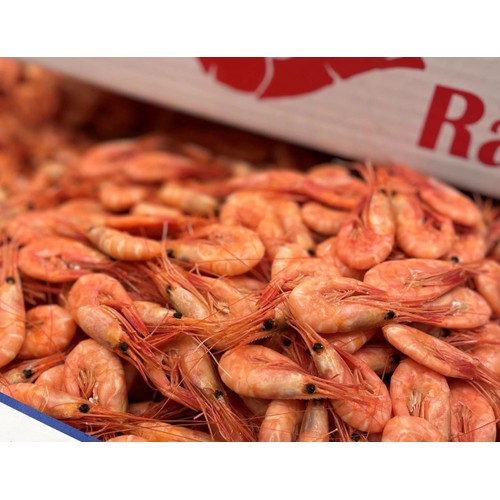 Färska Räkor ca 100g