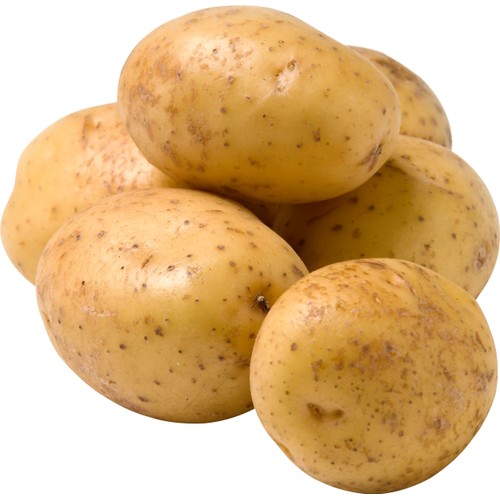 Potatis Fast ca 100g tvättad Klass 1
