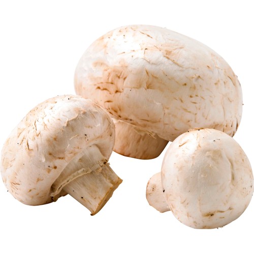Champinjon svensk ca 15g Klass 1 ICA