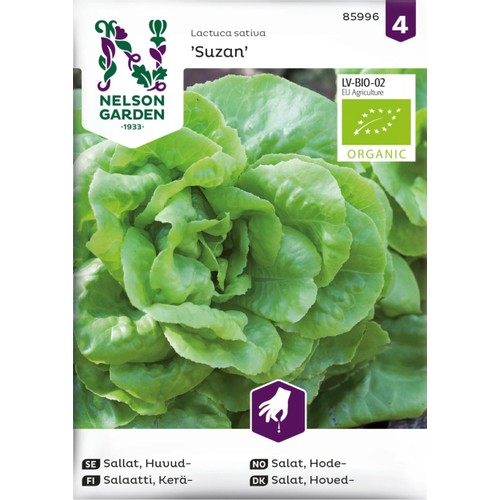 Sallat, Huvud, Suzan, Organic Nelosn Garden
