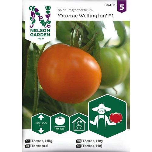 Tomat, Hög, Orange Wellington F1 Nelson Garden